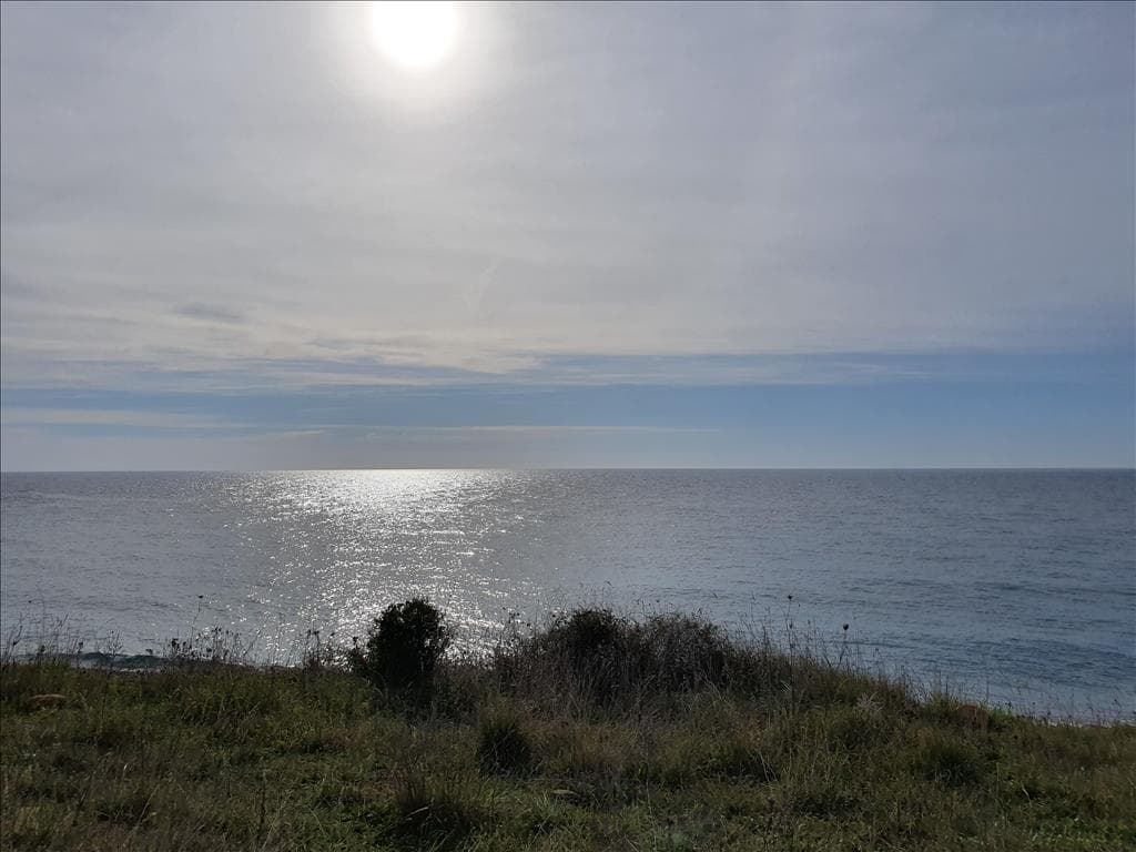 For Sale Land 10000 m² in Kassandra, Chalkidiki