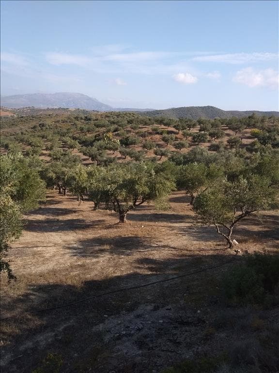 For Sale Land 38000 m² on the Euboea island