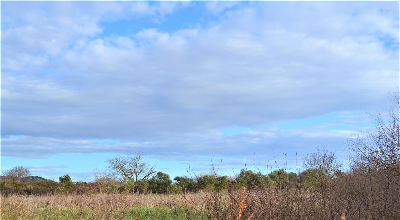For Sale Land 5500 m² in Corfu