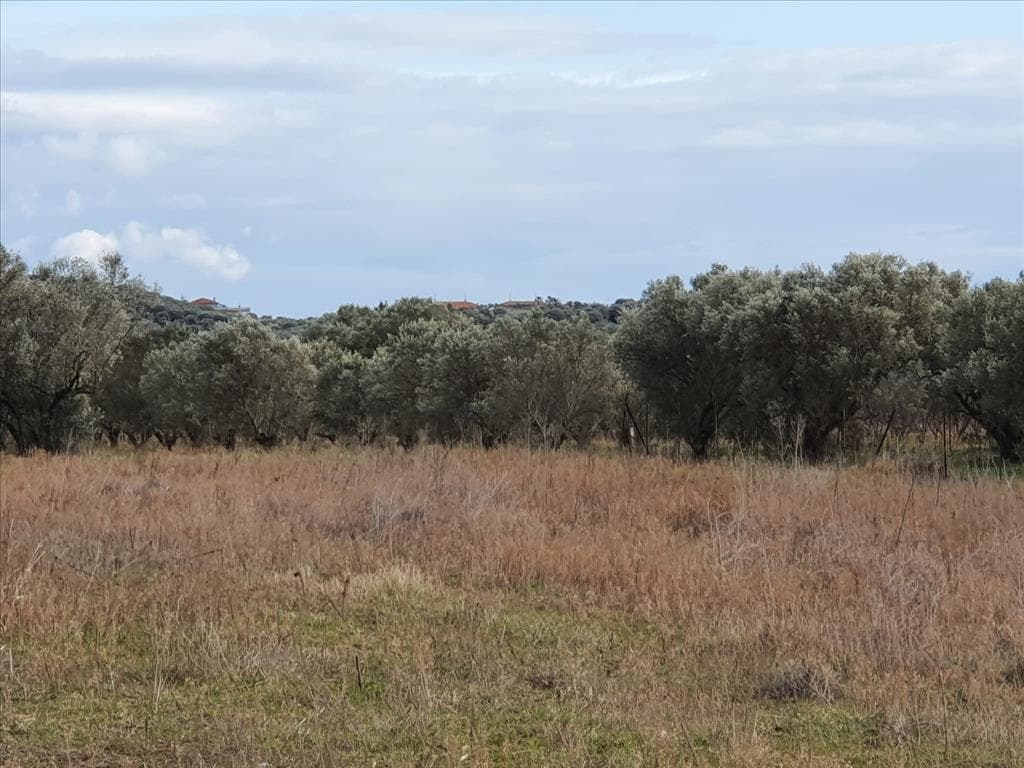 For Sale Land 2000 m² in Chalkidiki