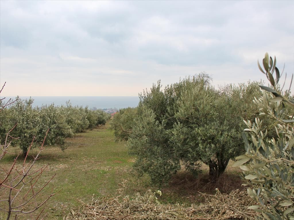 For Sale Land 4000 m² on the Olympic Coast