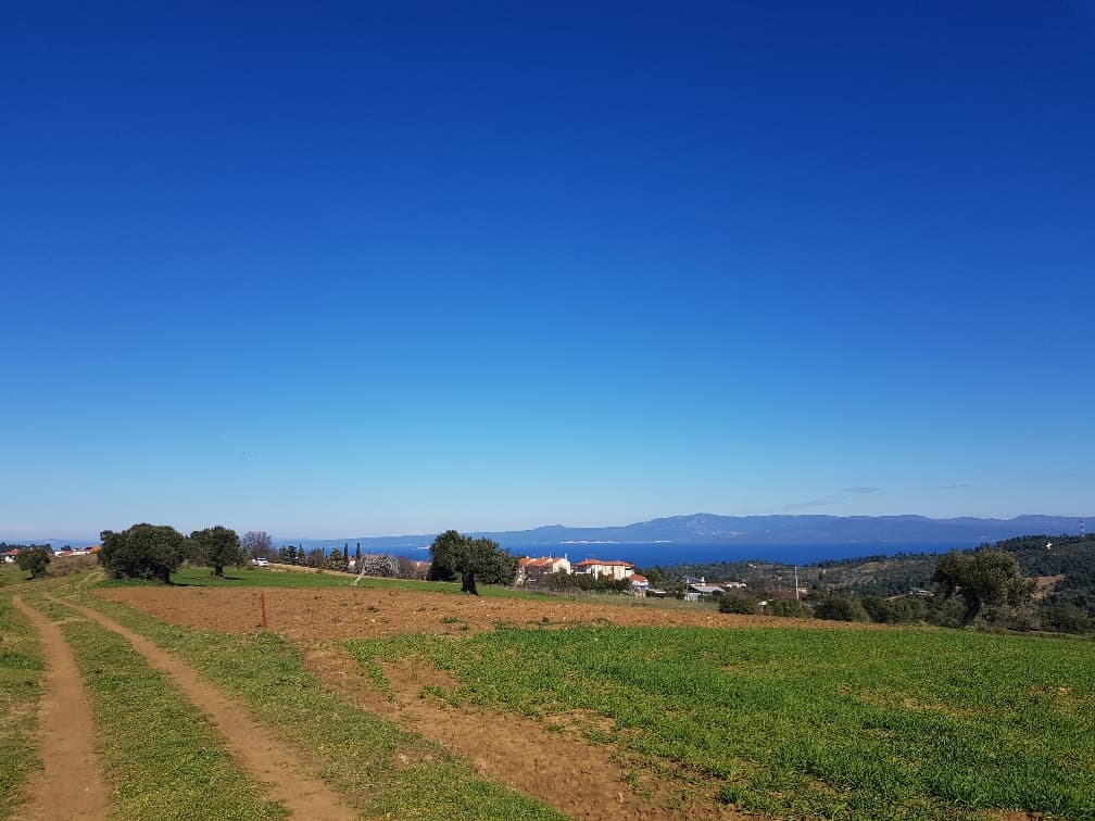 For Sale Land 9000 m² in Kassandra, Chalkidiki