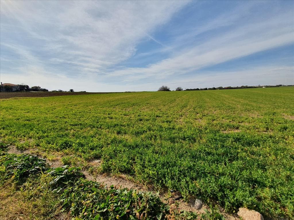 For Sale Land 20000 m² in Chalkidiki
