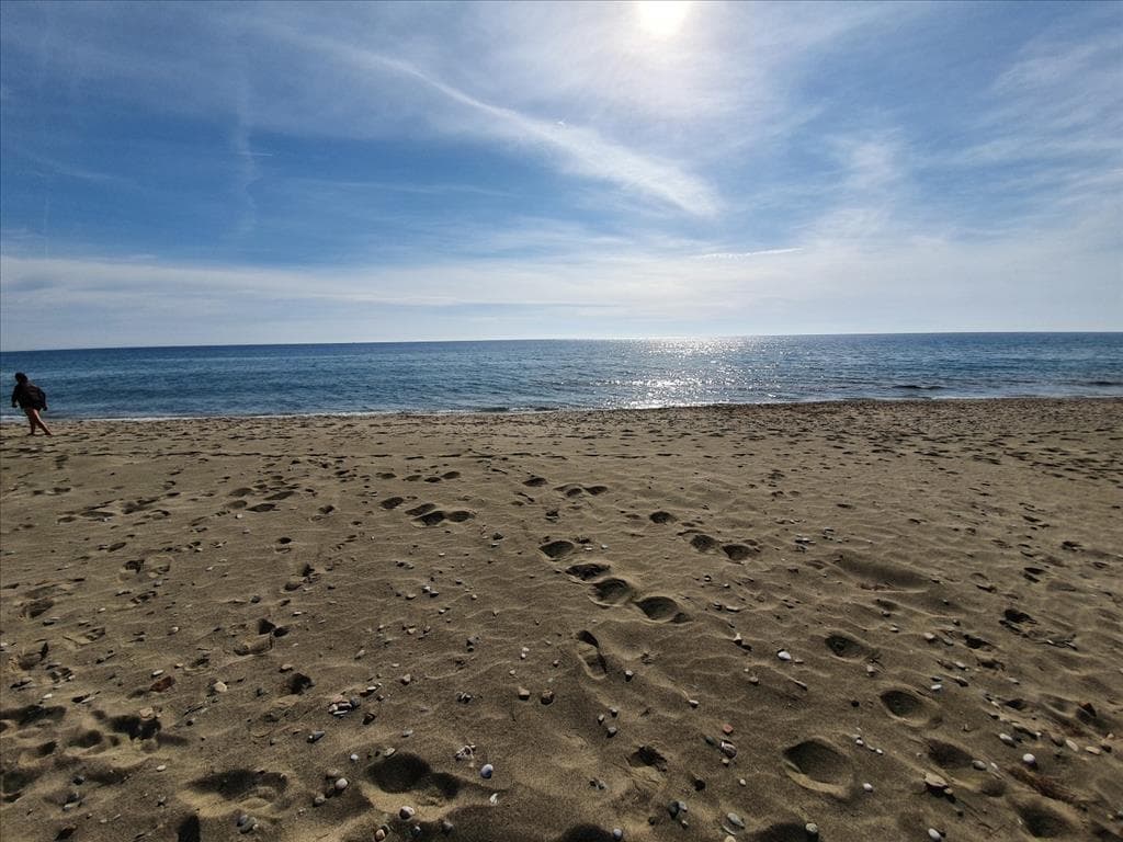 For Sale Land 4950 m² in Chalkidiki