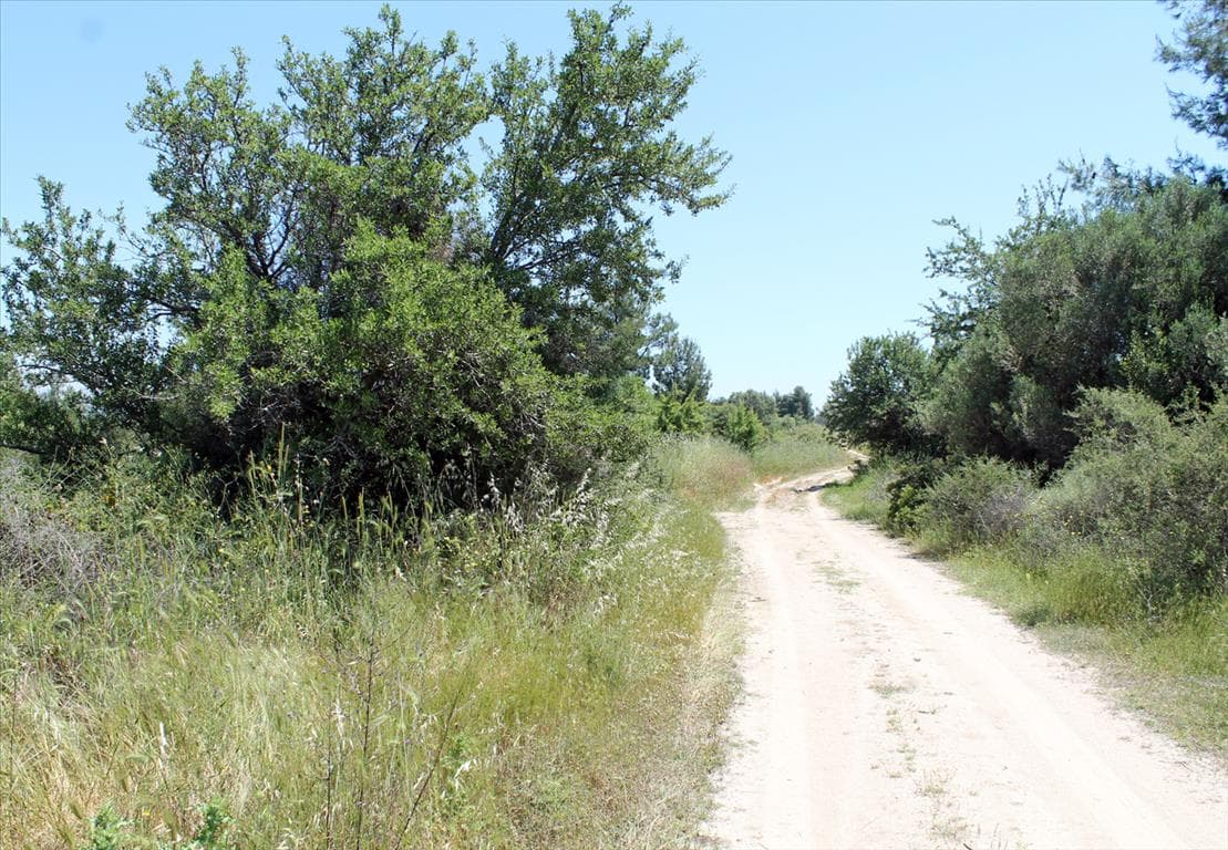 For Sale Land 1898 m² in Kassandra, Chalkidiki