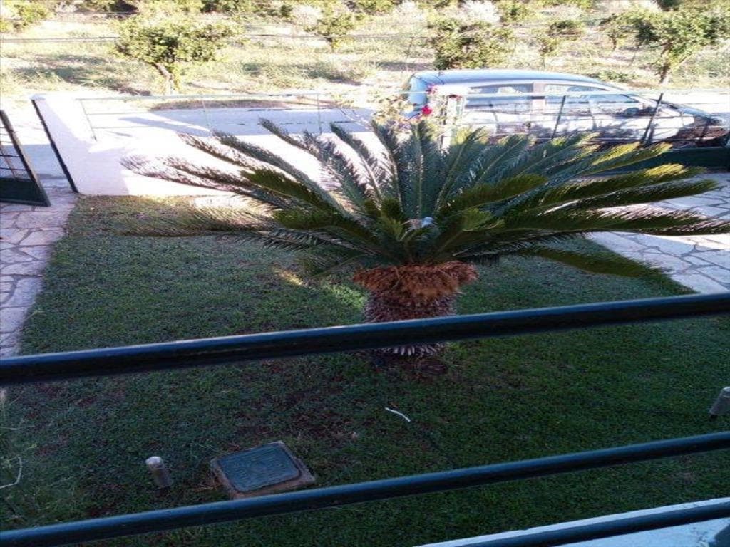 For Sale Detached house 135 m² in Eastern Peloponnese