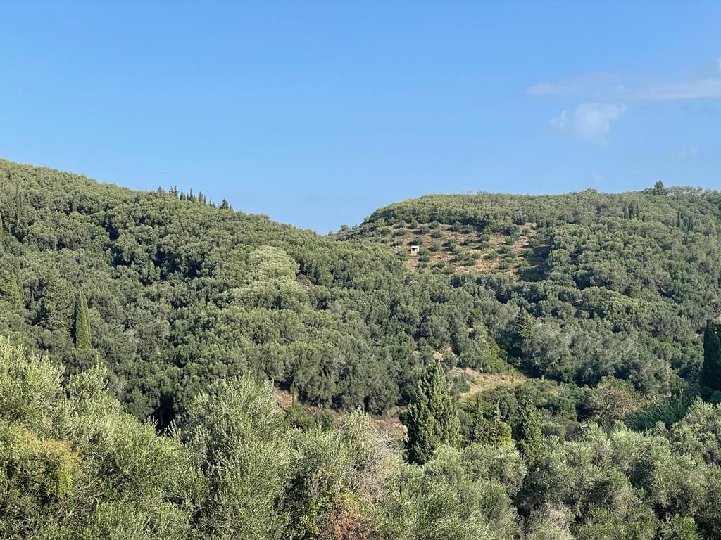 Expansive 30,000 m² Plot for Sale in Corfu