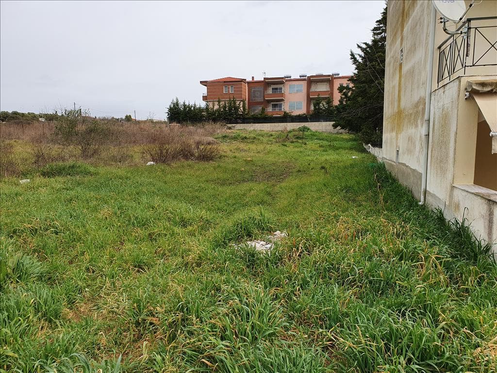 Spacious 1000 m² Plot for Sale in Kassandra, Chalkidiki