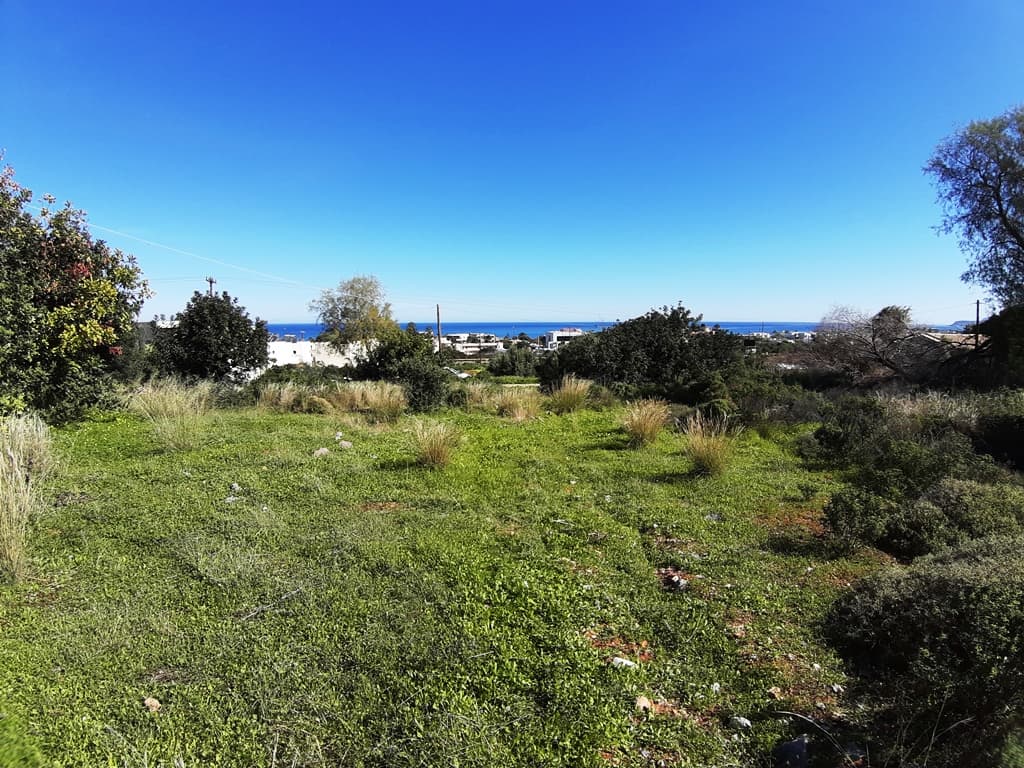 For Sale Land 14000 m² in Crete