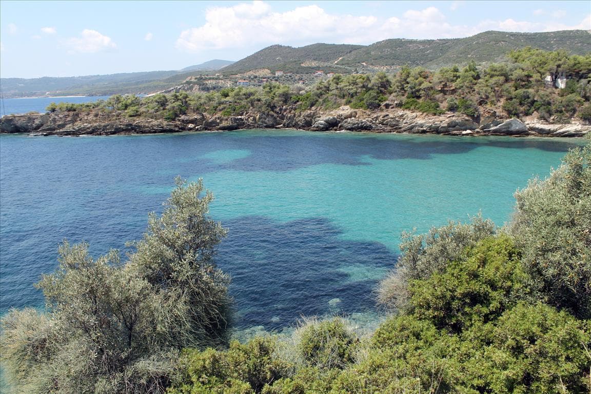 For Sale Land 16500 m² in Athos, Chalkidiki