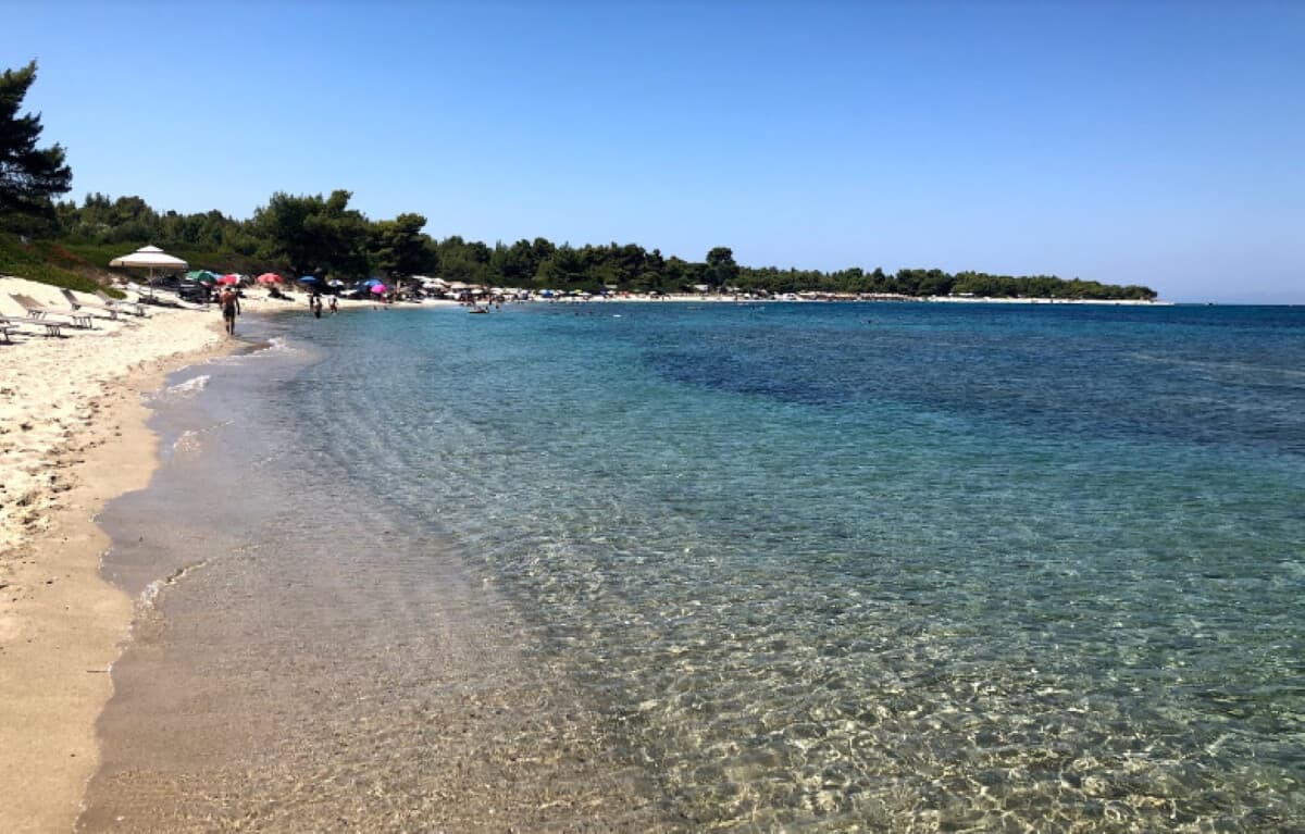 For Sale Land 50000 m² in Kassandra, Chalkidiki