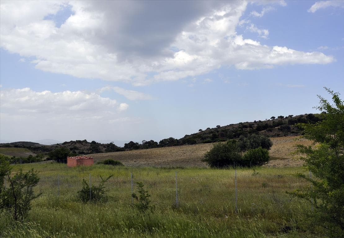 For Sale Land 4000 m² in Sithonia, Chalkidiki