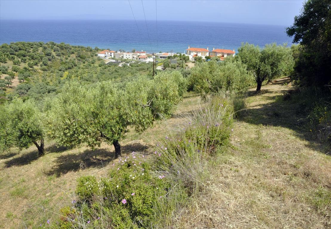 For Sale Land 3750 m² in Sithonia, Chalkidiki