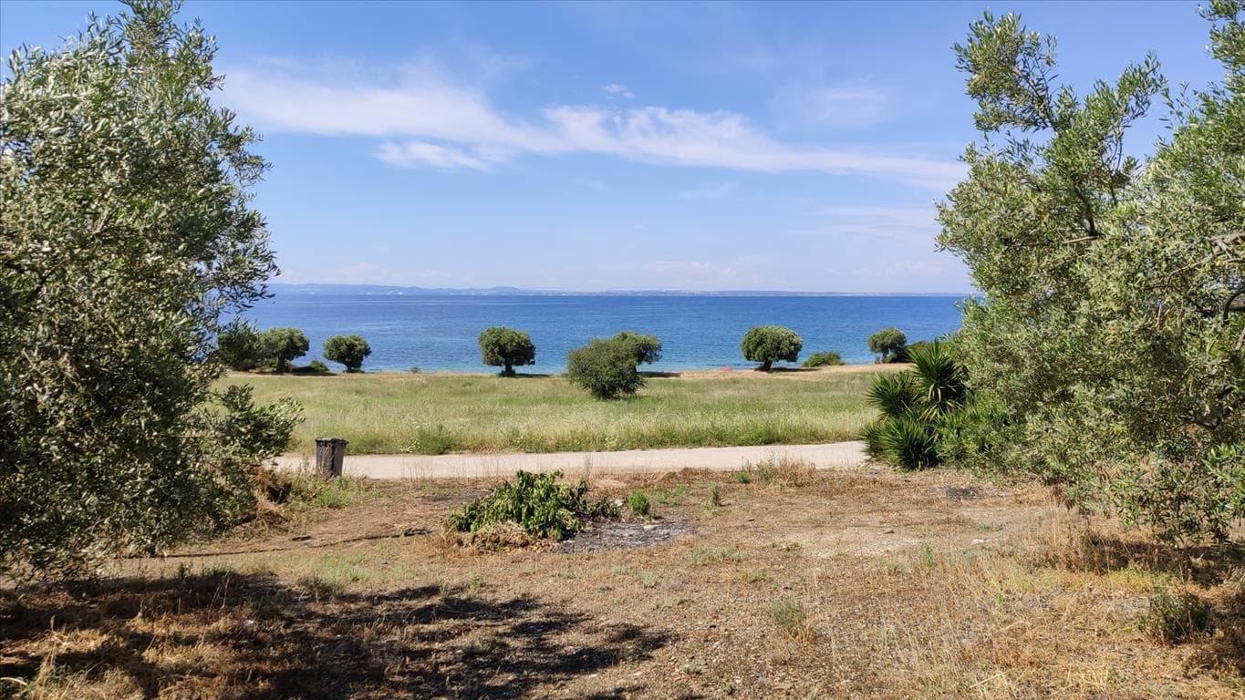 For Sale Land 13750 m² in Sithonia, Chalkidiki