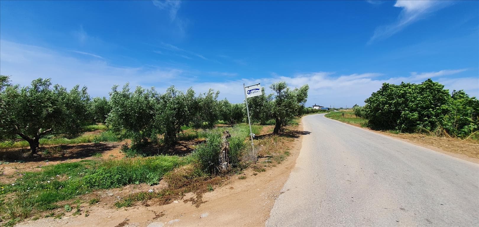 For Sale Land 4686 m² in Chalkidiki