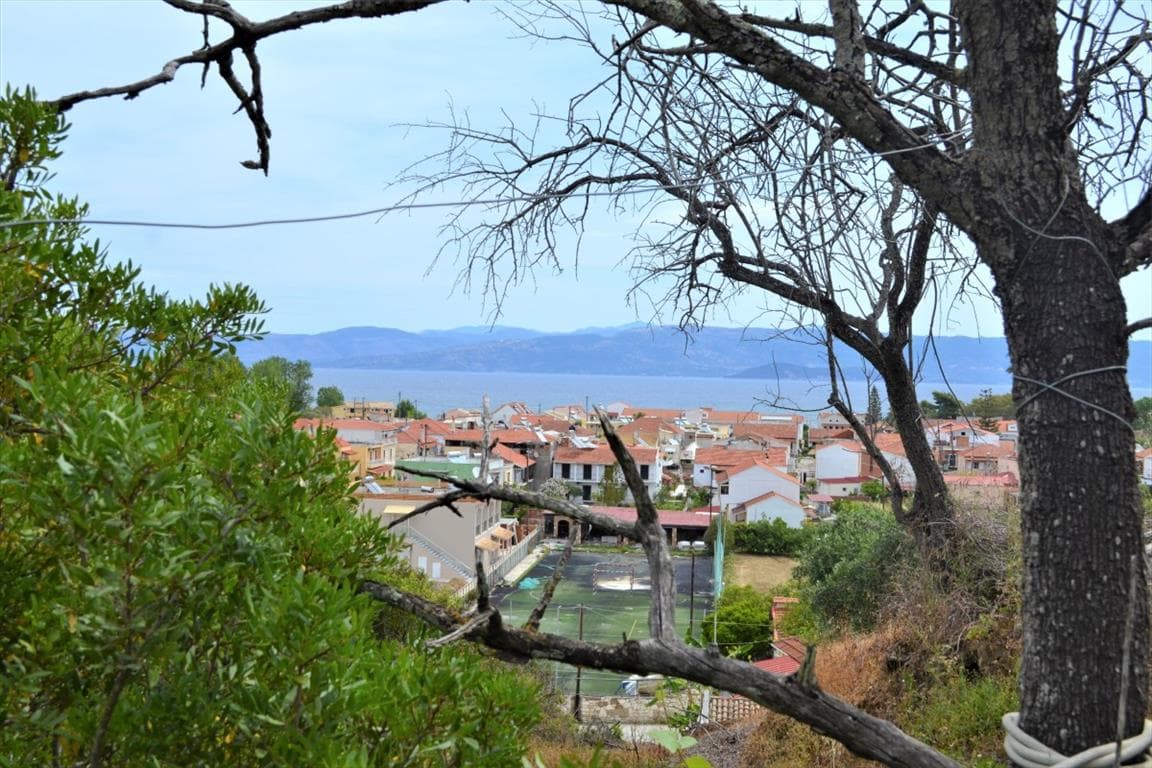 For Sale Land 1100 m² in Corfu