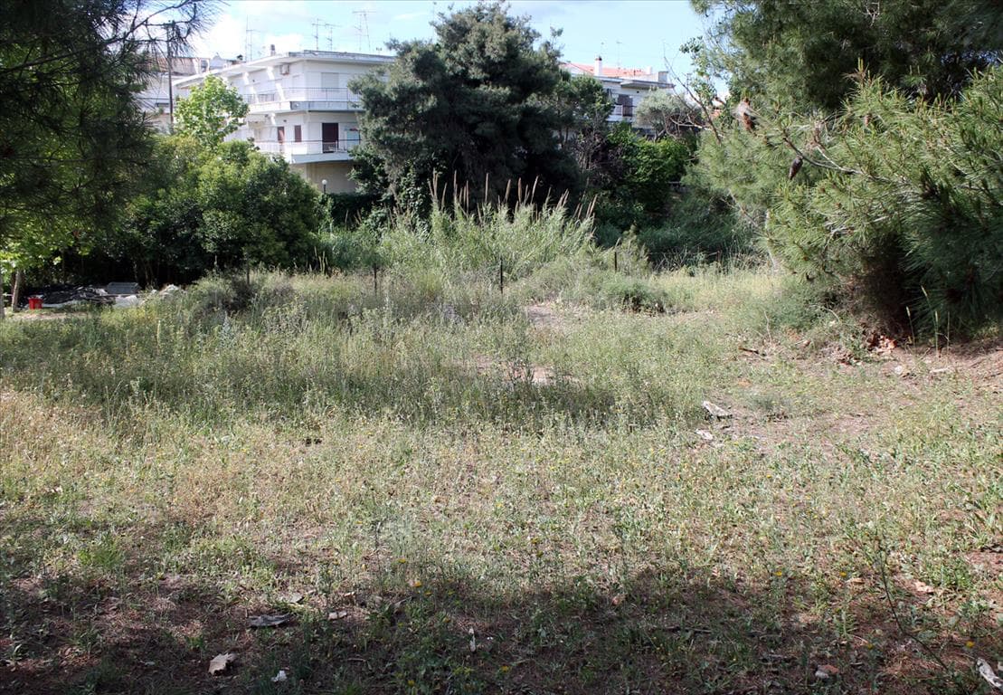 For Sale Land 1400 m² in Kassandra, Chalkidiki