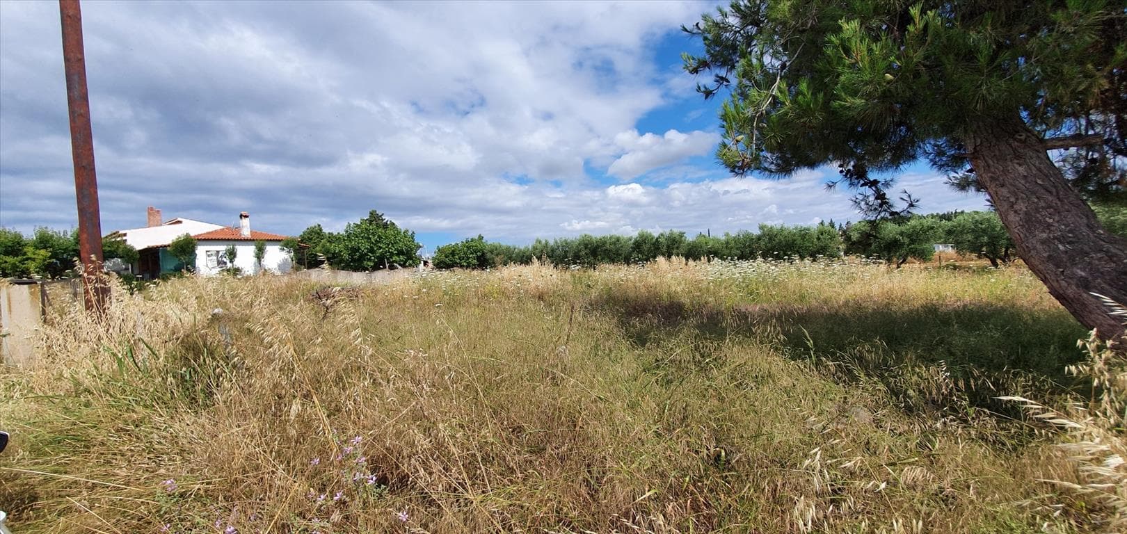For Sale Land 2025 m² in Chalkidiki