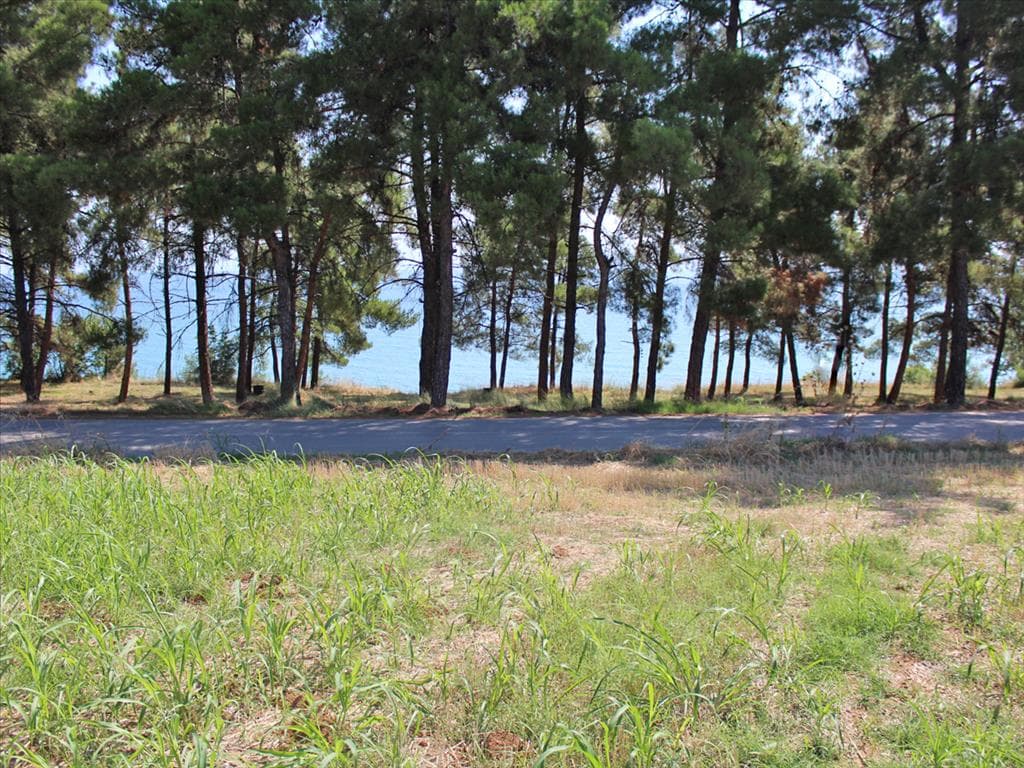 For Sale Land 3850 m² on the Olympic Coast