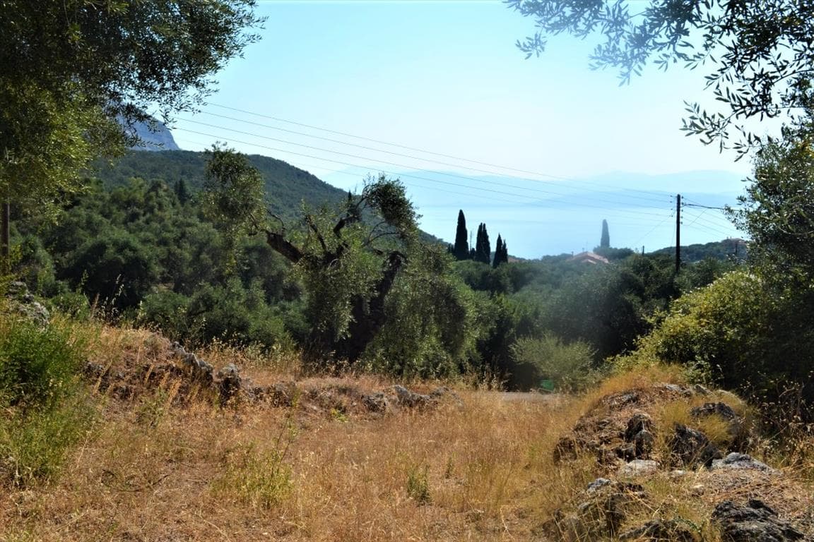For Sale Land 5000 m² in Corfu