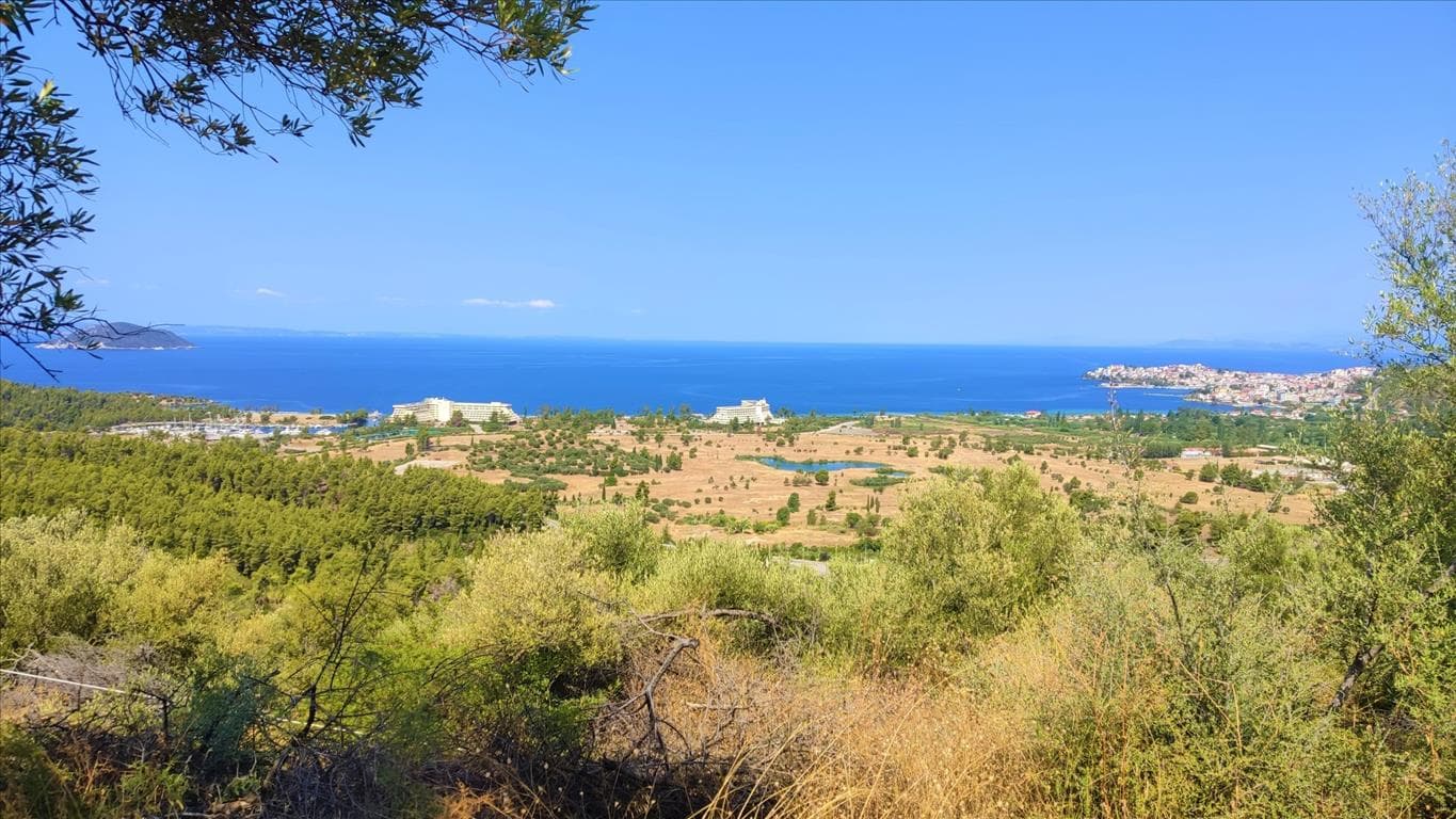 For Sale Land 4188 m² in Sithonia, Chalkidiki