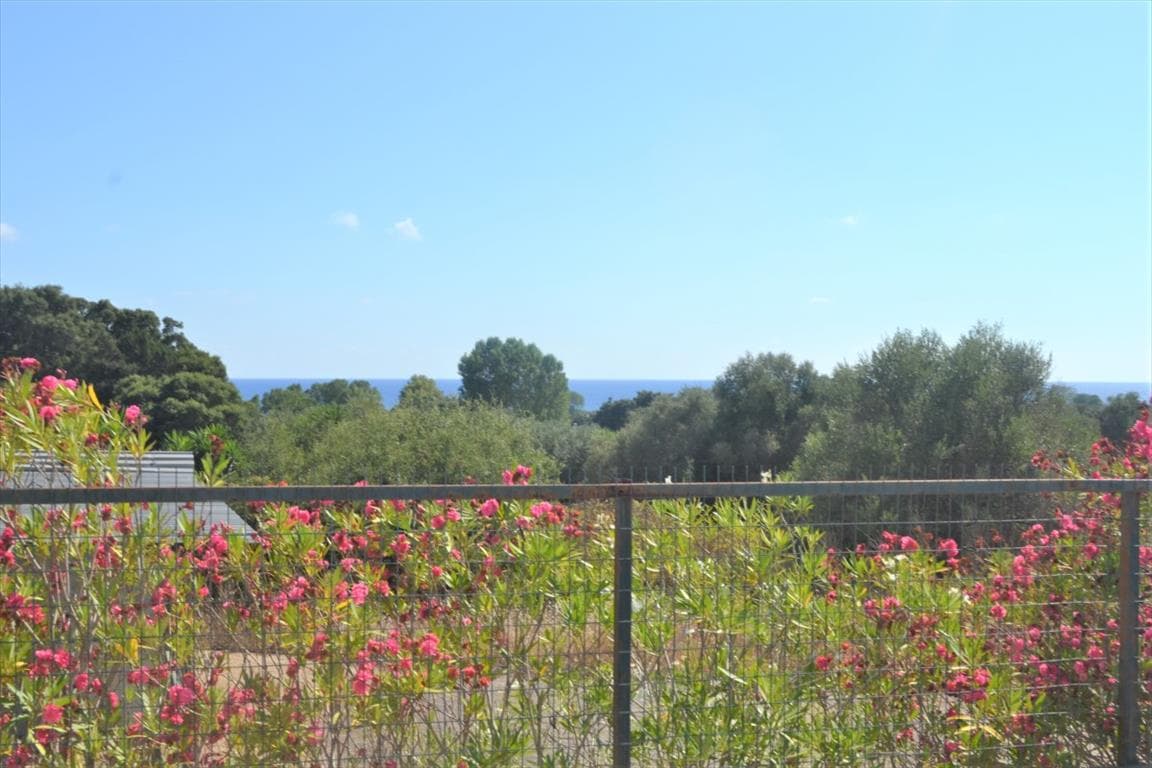 For Sale Land 4000 m² in Corfu