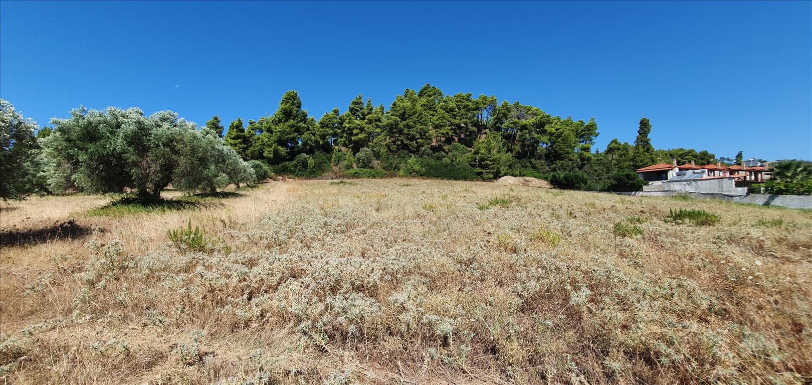 For Sale Land 5500 m² in Kassandra, Chalkidiki