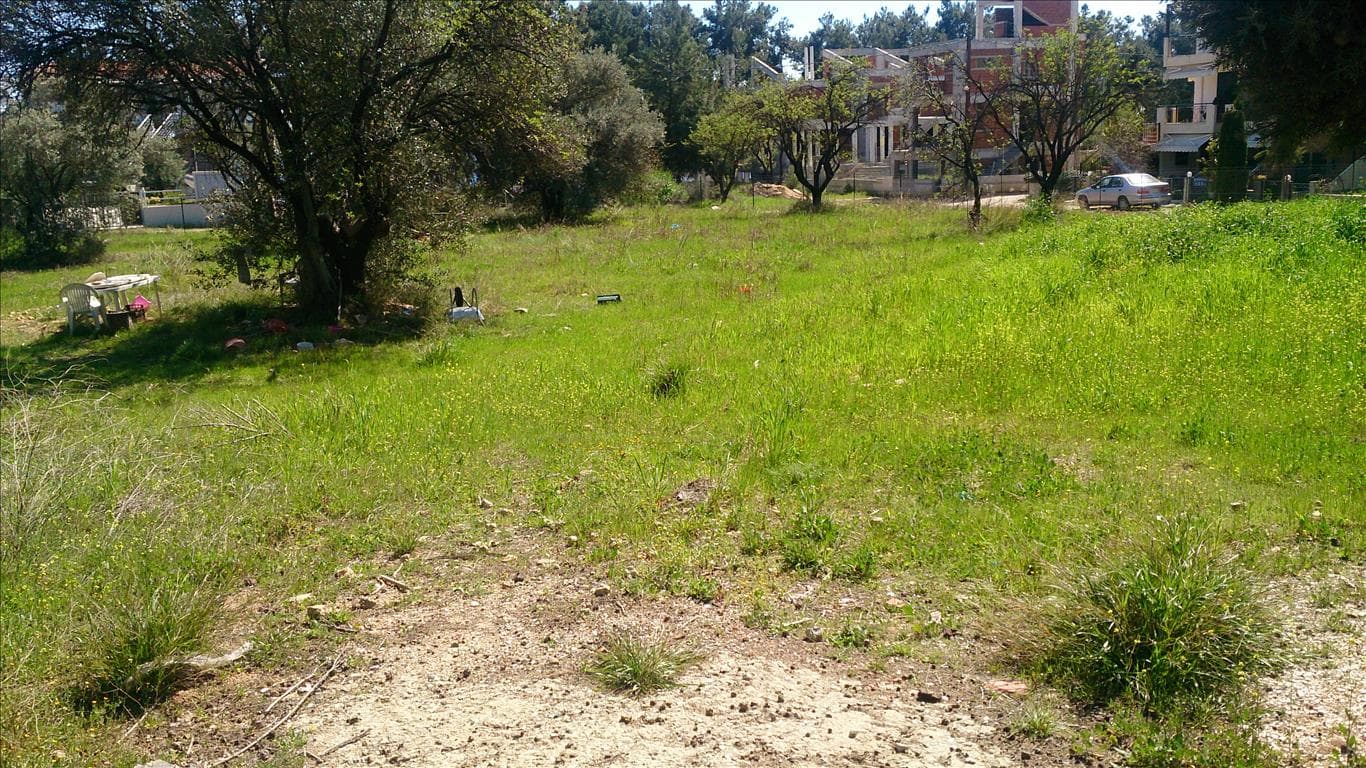 For Sale Land 835 m² in Sithonia, Chalkidiki