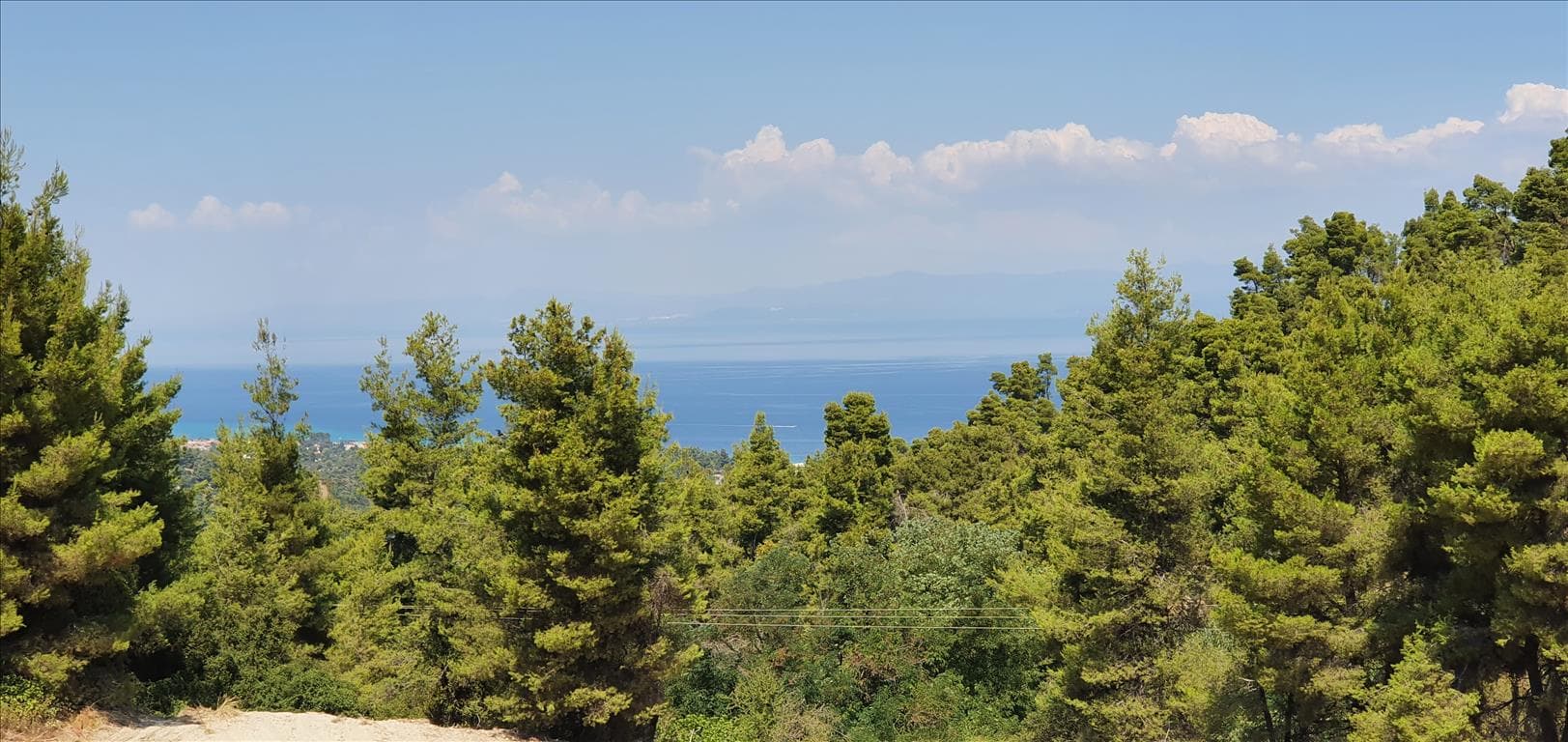 For Sale Land 16000 m² in Kassandra, Chalkidiki