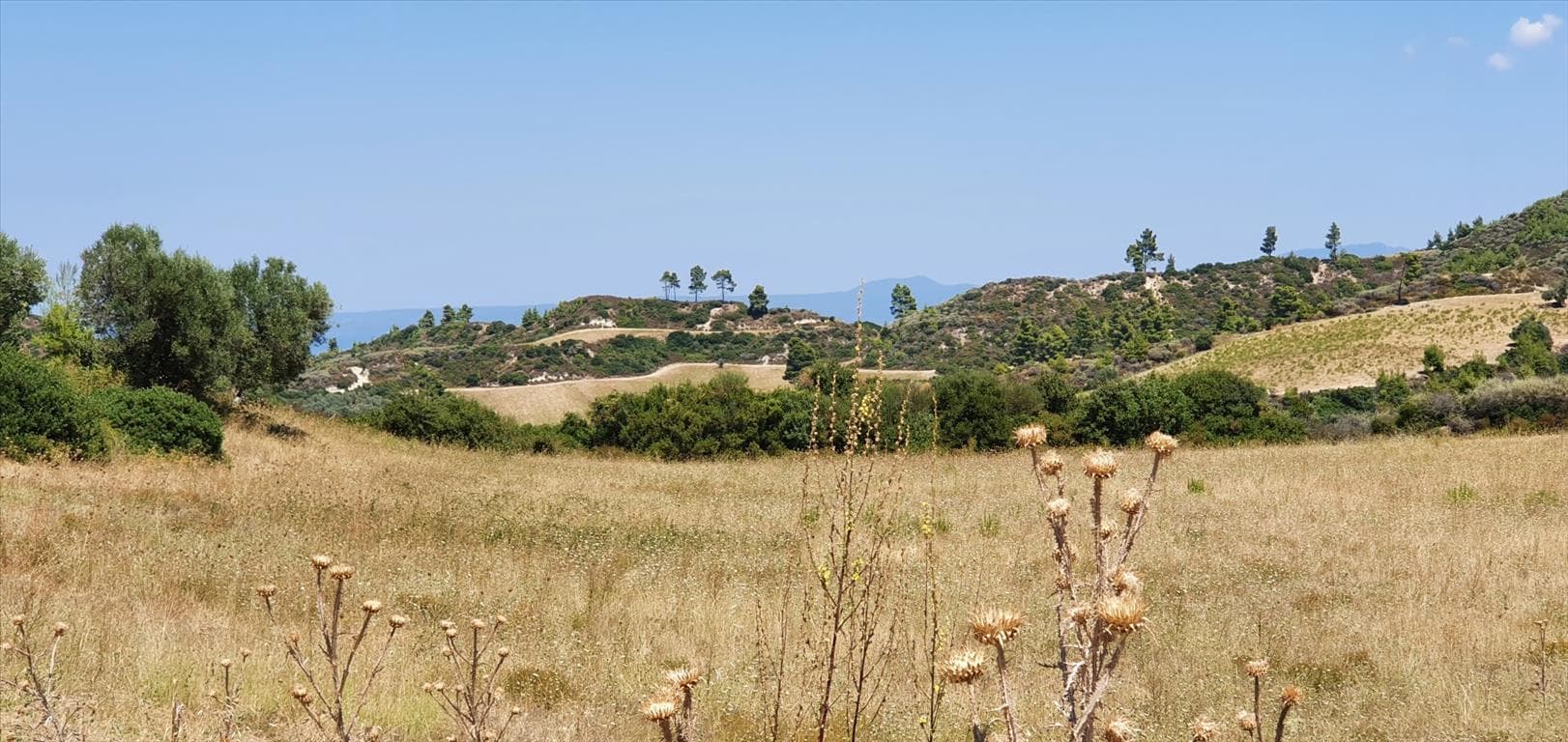 For Sale Land 30000 m² in Kassandra, Chalkidiki