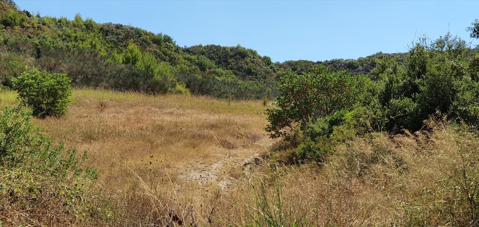 For Sale Land 10250 m² in Kassandra, Chalkidiki