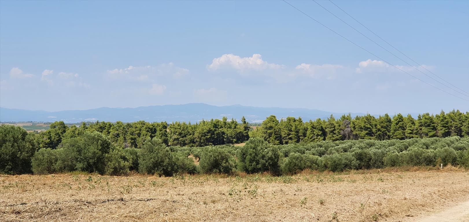 For Sale Land 30000 m² in Kassandra, Chalkidiki