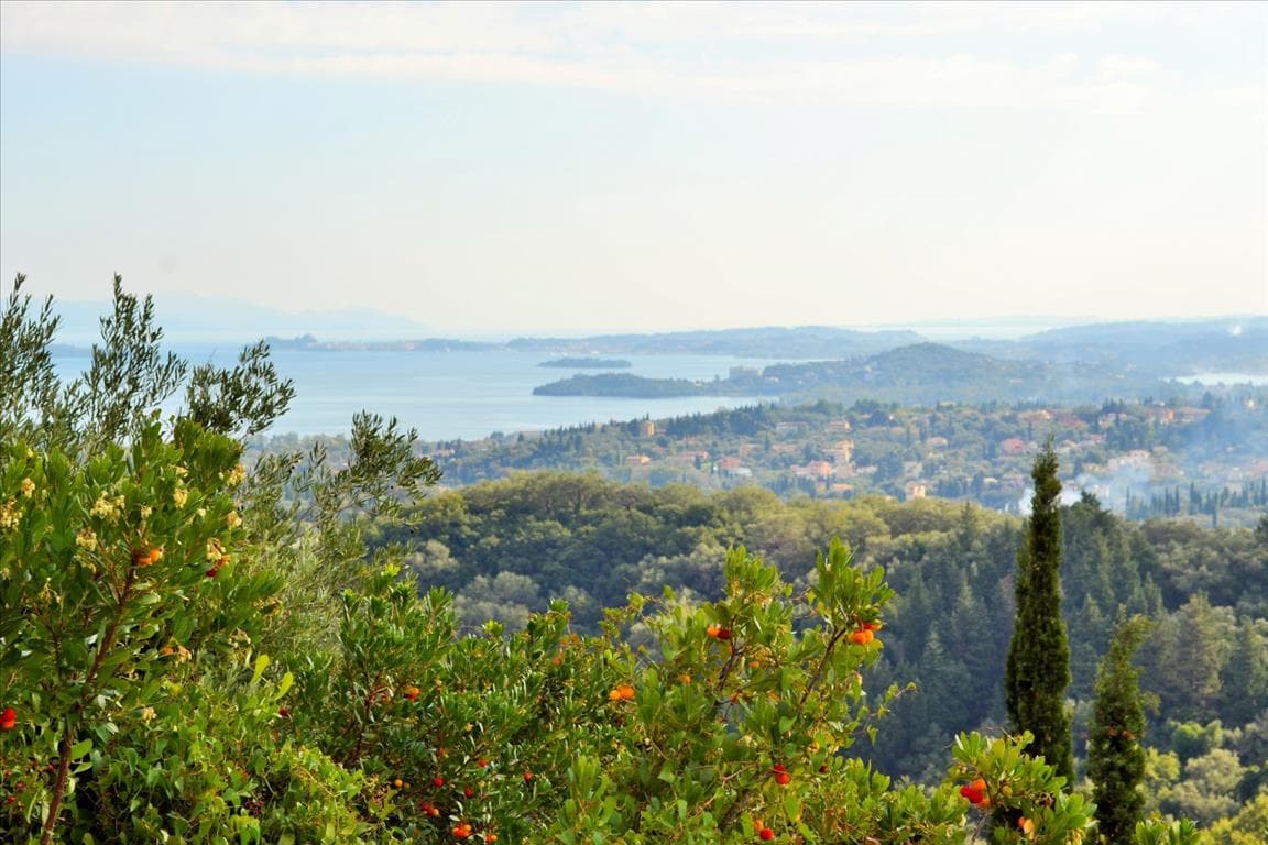For Sale Land 14530 m² in Corfu