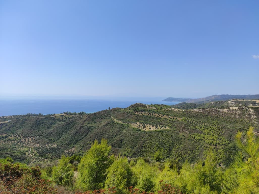 For Sale Land 24215 m² in Kassandra, Chalkidiki