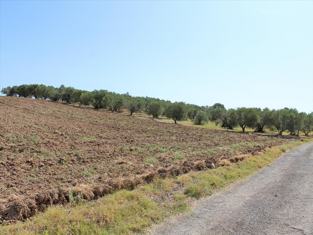 For Sale Land 4000 m² on the Olympic Coast