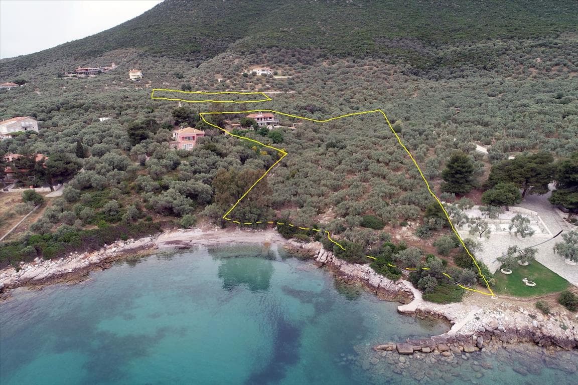 For Sale Land 20000 m² in central Greece