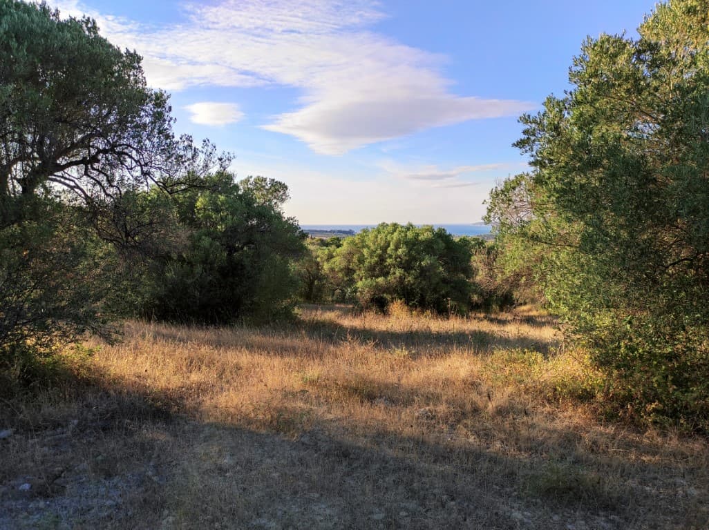 For Sale Land 5500 m² in Kassandra, Chalkidiki