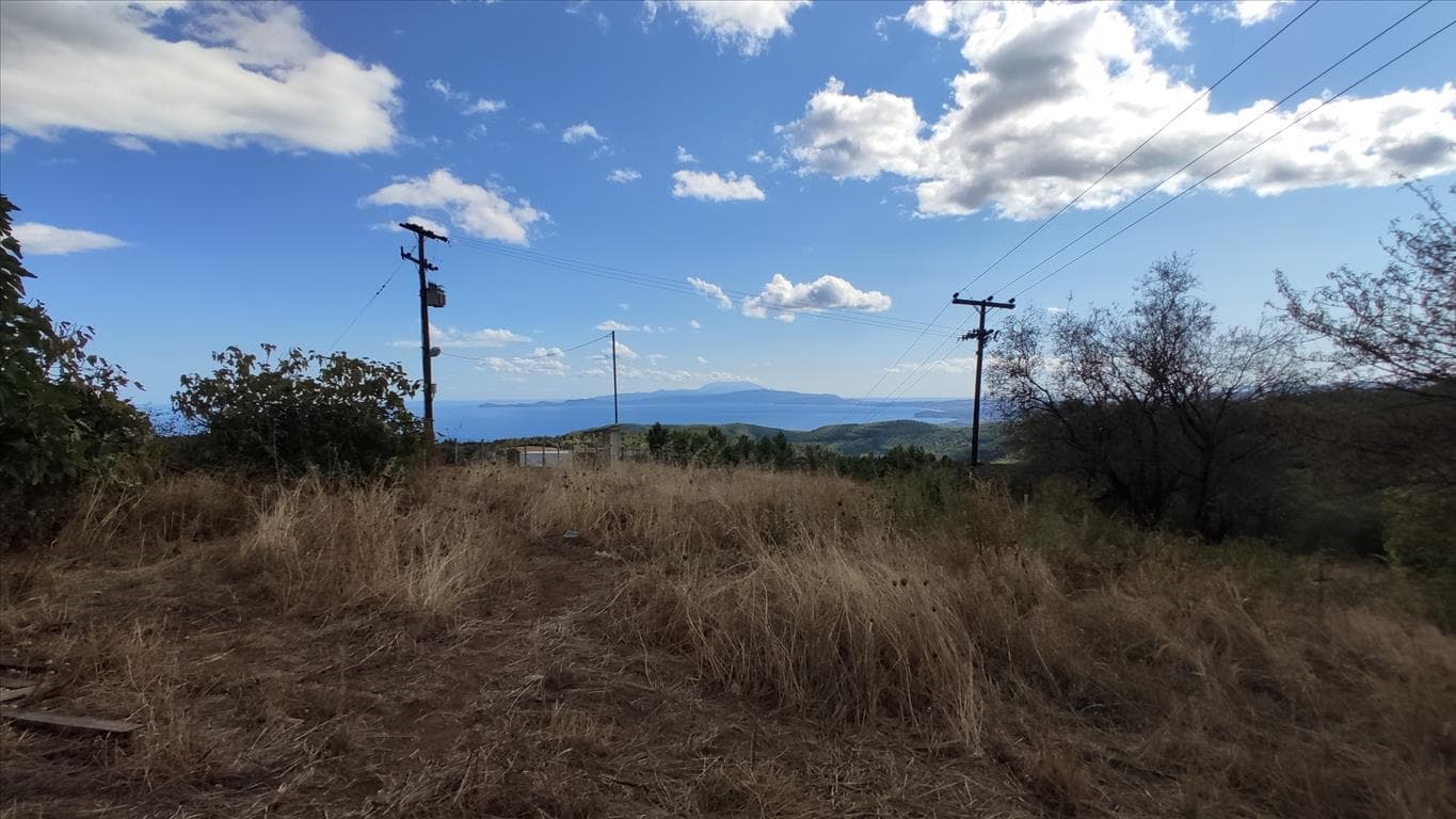 For Sale Land 23000 m² in Athos, Chalkidiki