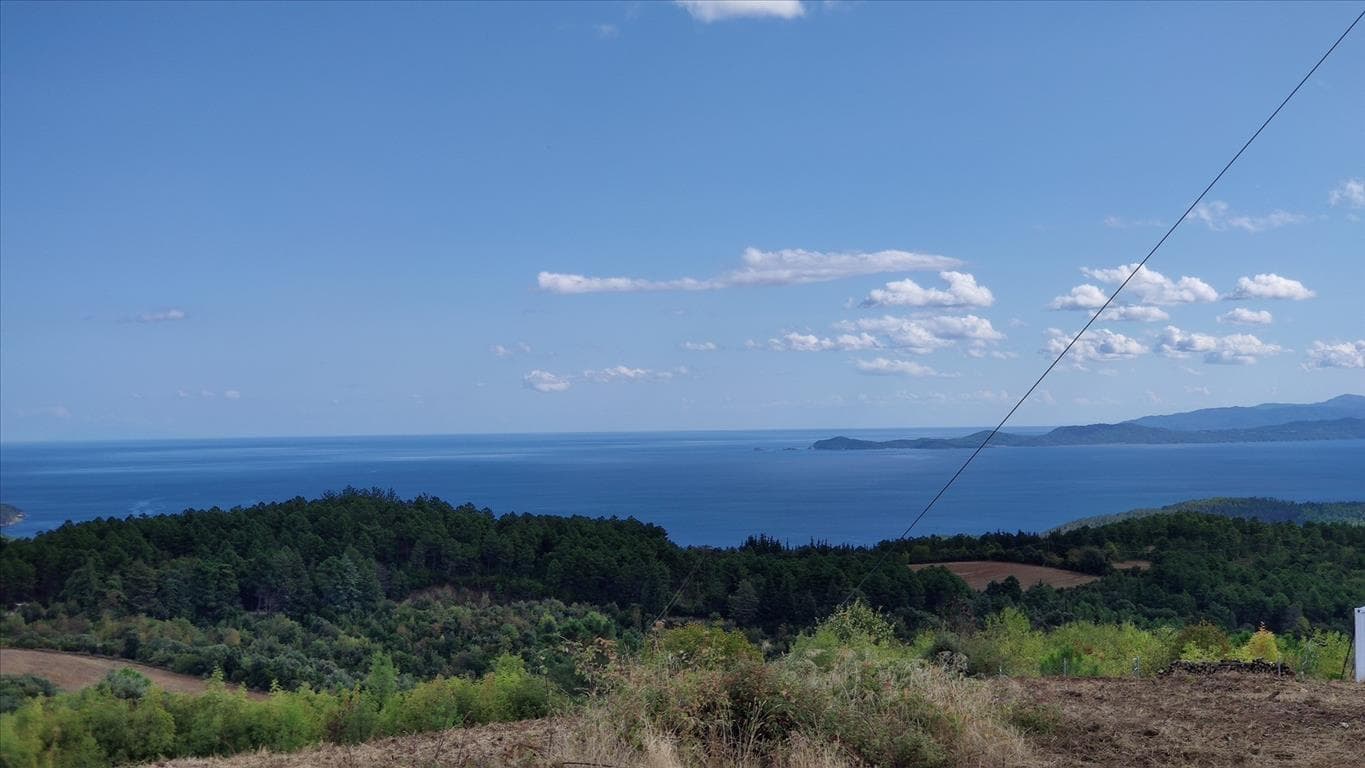 For Sale Land 50000 m² in Athos, Chalkidiki
