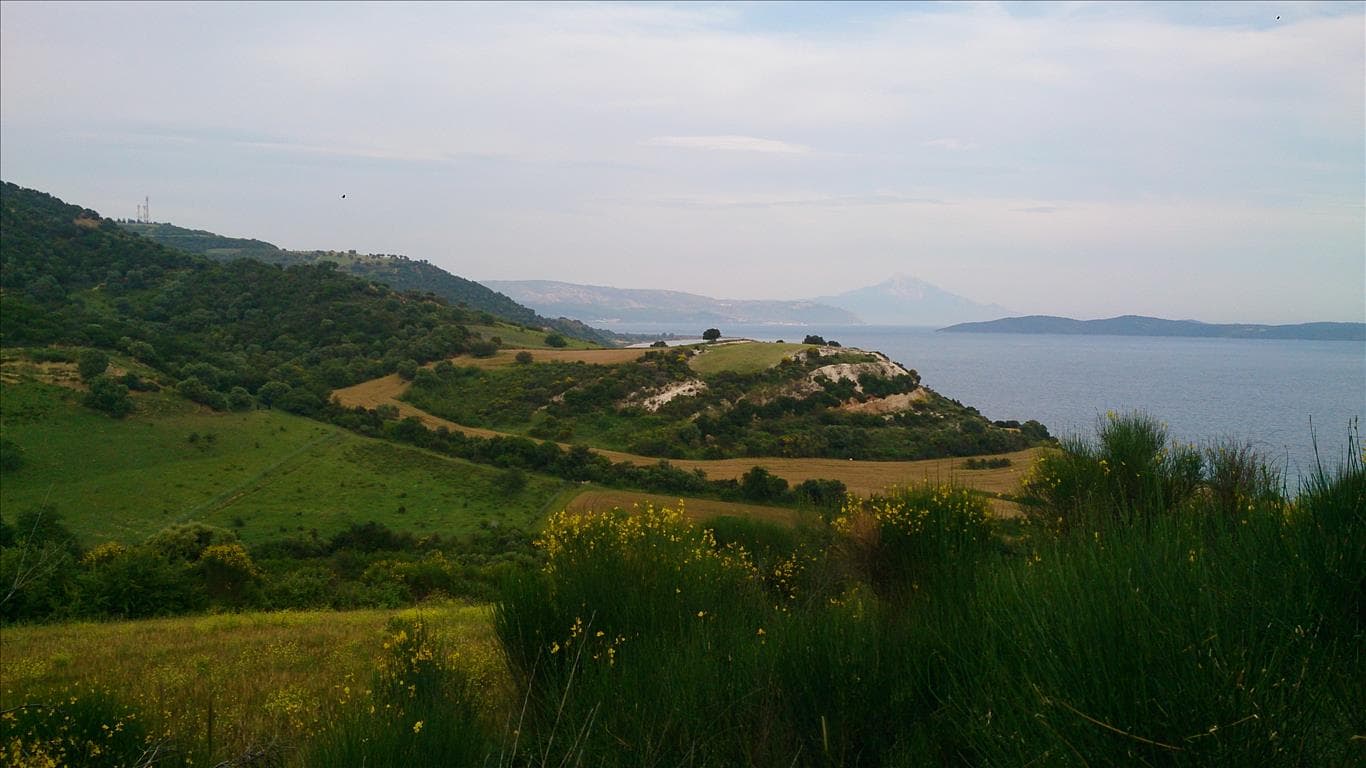 For Sale Land 11300 m² in Athos, Chalkidiki