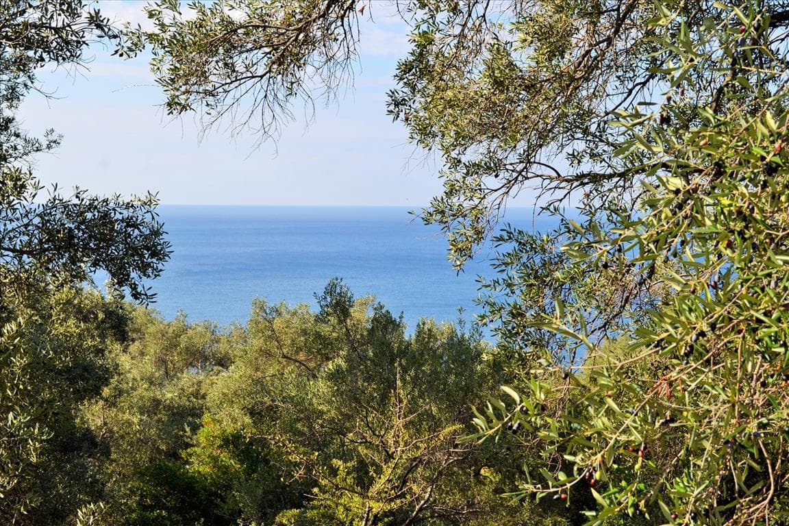 For Sale Land 7606 m² in Corfu