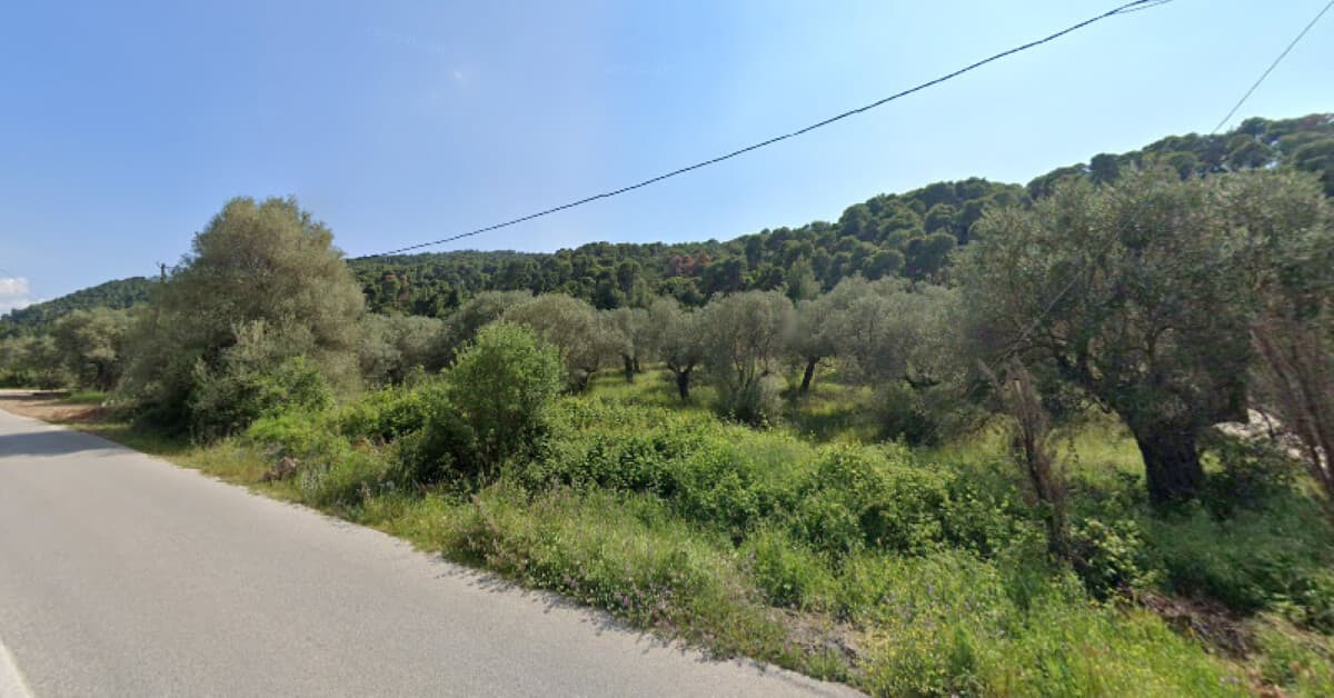 For Sale Land 4100 m² in Sithonia, Chalkidiki