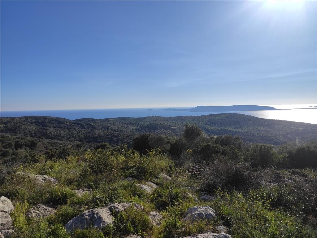 For Sale Land 4500 m² in Western Peloponnese