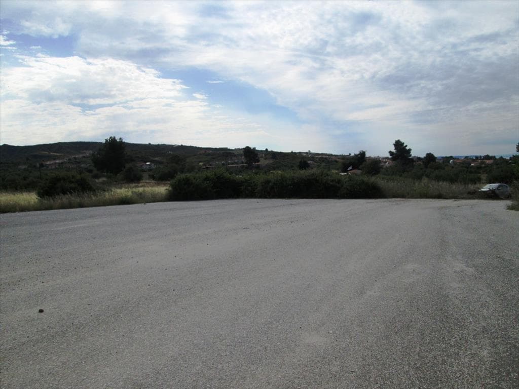 For Sale Land 10000 m² in Kassandra, Chalkidiki