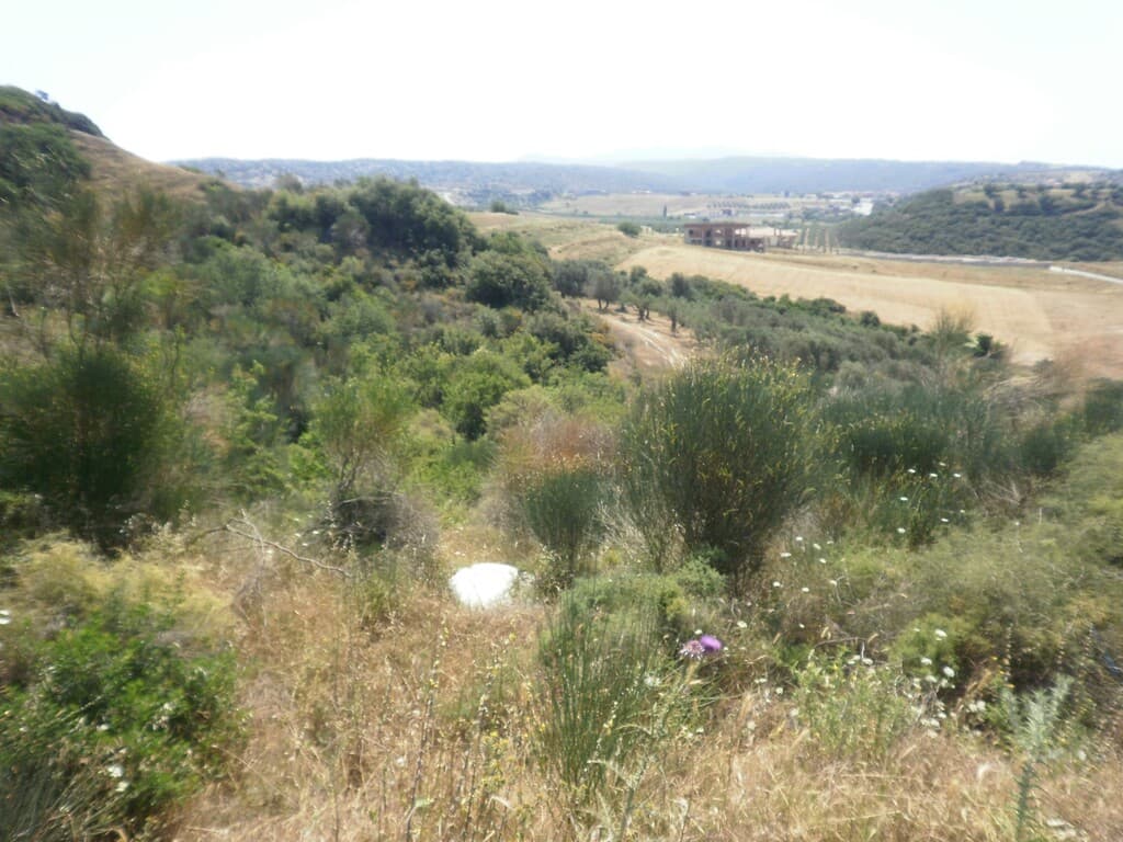For Sale Land 4188 m² in Sithonia, Chalkidiki