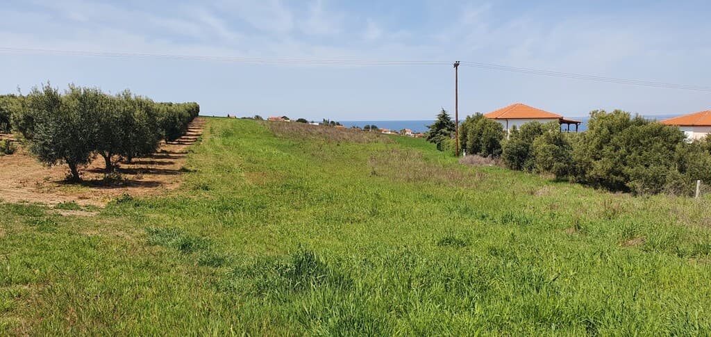 For Sale Land 5500 m² in Kassandra, Chalkidiki
