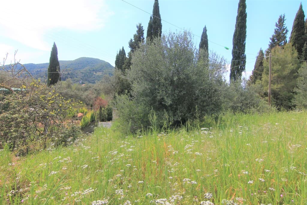 For Sale Land 1206 m² in Corfu
