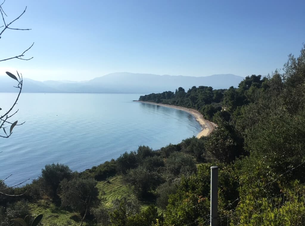 For Sale Land 2000 m² on the Euboea island