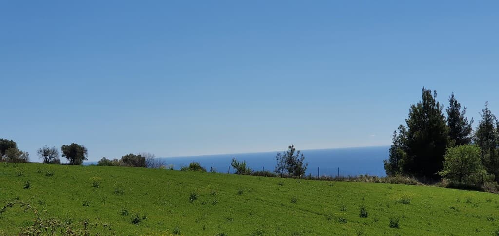 For Sale Land 11000 m² in Kassandra, Chalkidiki