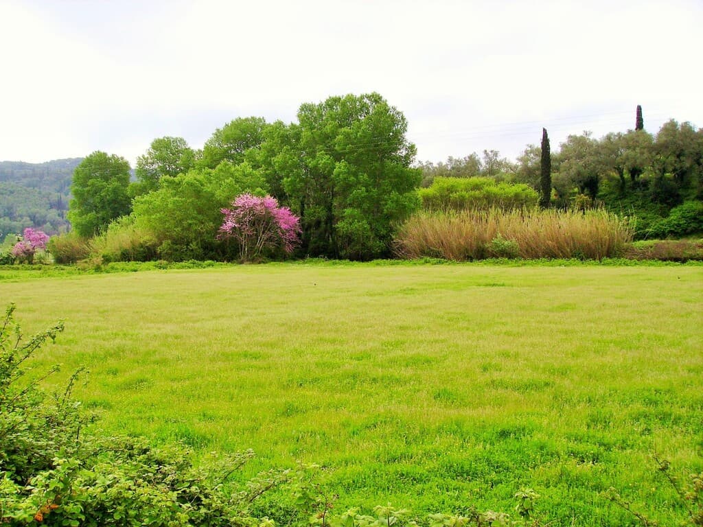 For Sale Land 10195 m² in Corfu